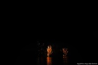 /album/feu-dartifice/a0020059re-jpg/