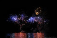 /album/feu-dartifice/a0029299re-jpg/