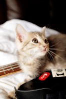 /album/animaux/a0021114-jpg/