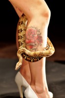 /album/mel-charme/a0028476re-jpg/